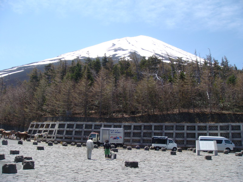 日本留学生活奔溃:房子建在山上 垃圾老扔错(2) 第2页