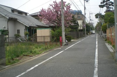 嫌巴黎太脏没法住，日本人竟主动捡垃圾(4) 第4页