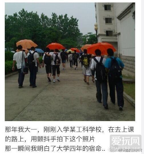 本周囧雷傻缺图810(53) 第53页