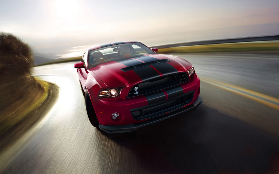 2014 Ford Shelby GT500(福特野马)(13) 第13页