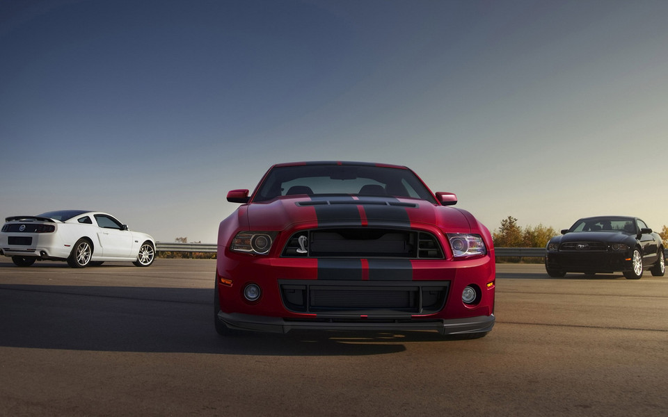 2014 Ford Shelby GT500(福特野马)(14) 第14页