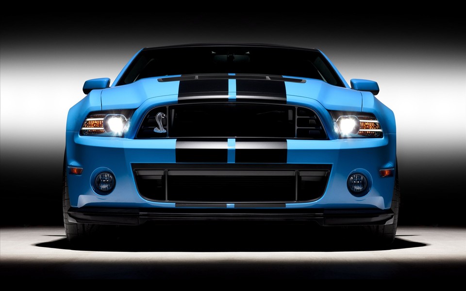 福特眼镜蛇Ford Shelby GT500壁纸(13) 第13页