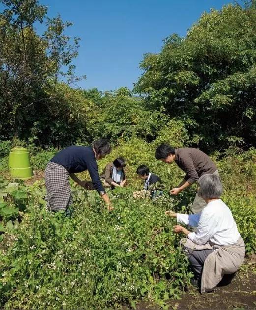 日本设计师在山里盖房隐居(11) 第11页