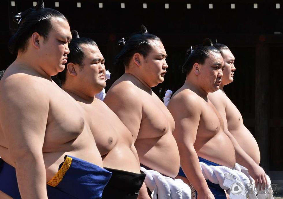 组图：日本国粹相扑不易 每天十五公斤火锅增肥 第1页