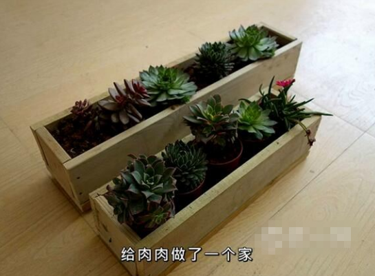 实用又省钱的DIY手工家居 让小屋大不同(8) 第8页