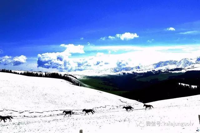 喀拉峻 漫步冬雪 喀拉峻湖 第1页