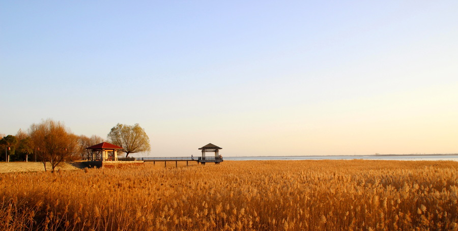 冬，别样美景 第1页