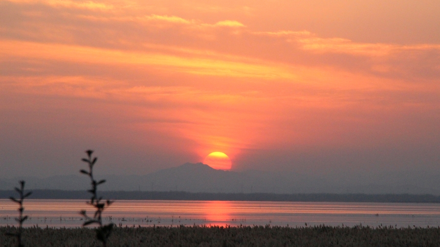 冬，别样美景(2) 第2页