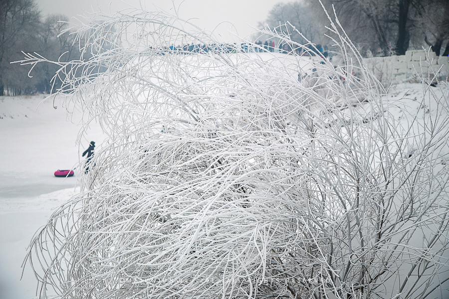 关东雪域(17) 第17页