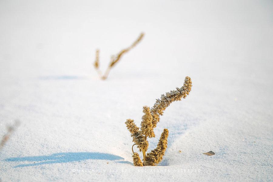 关东雪域(3) 第3页