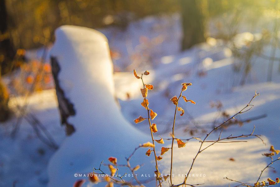 关东雪域(67) 第67页