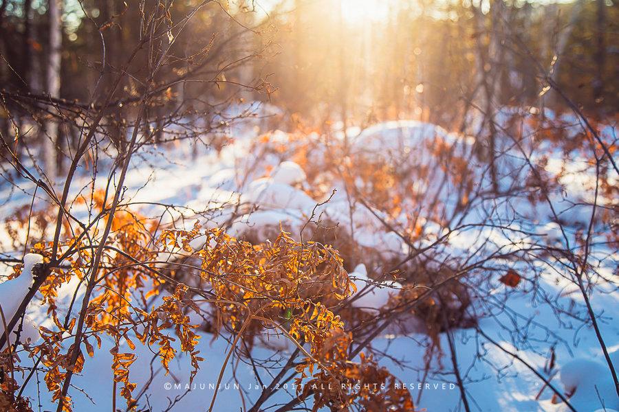 关东雪域(69) 第69页