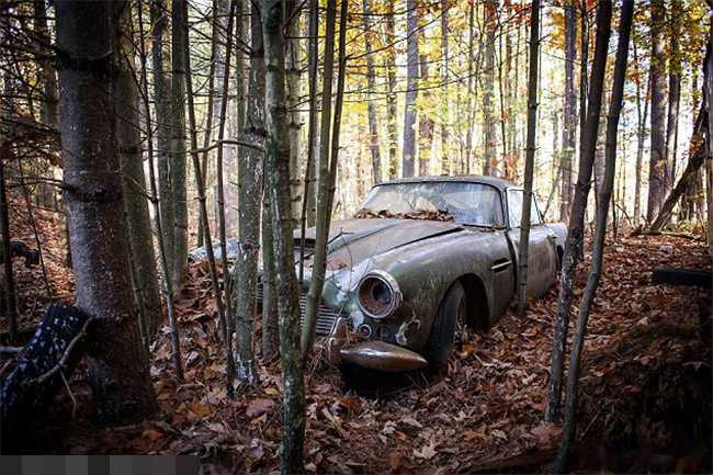 古董名车隐藏在树林中40年之久，车身严重侵蚀反升值很多倍 第1页