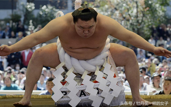 镜头下：相扑运动员照片，体重大多数在110到150公斤 第1页