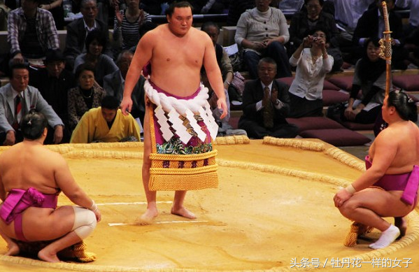 镜头下：相扑运动员照片，体重大多数在110到150公斤(3) 第3页