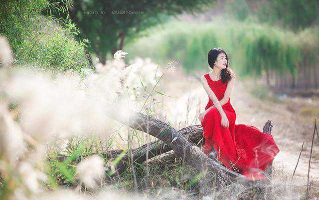 芦苇丛中的长裙红衣，这个季节最美的女子(7) 第7页