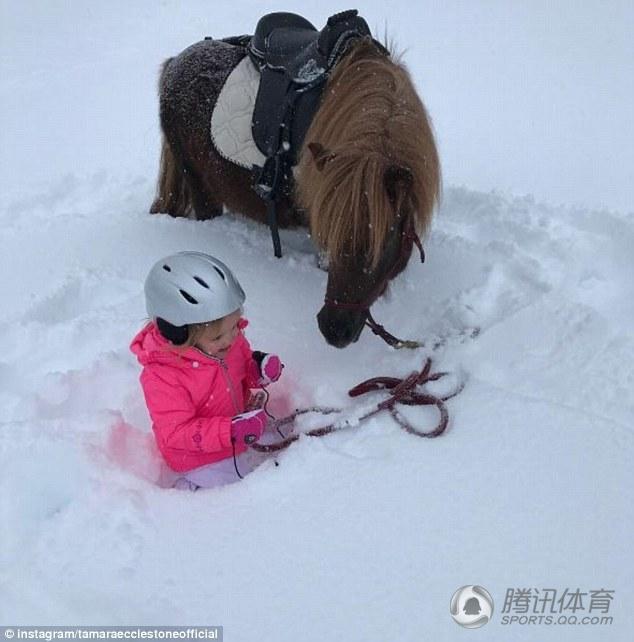 F1亿万小千金滑雪骑马 宝贝驾专属矮脚马萌翻(3) 第3页