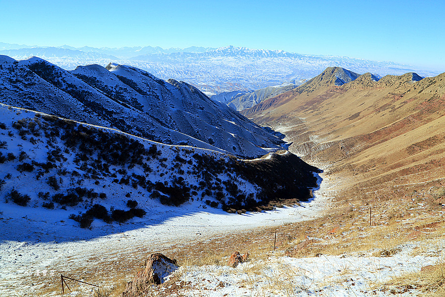 走近大青山