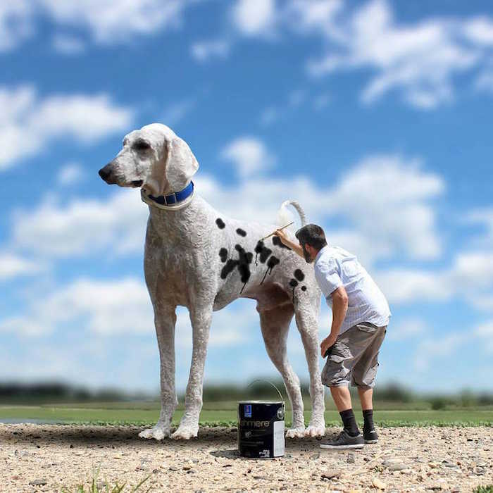 后期达人：以巨型犬为坐骑的冒险之旅(17) 第17页