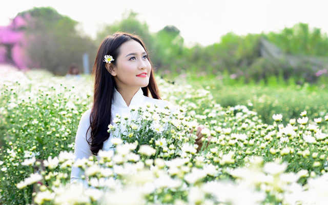 菊花园中婀娜多姿的越南少女，好美 第1页