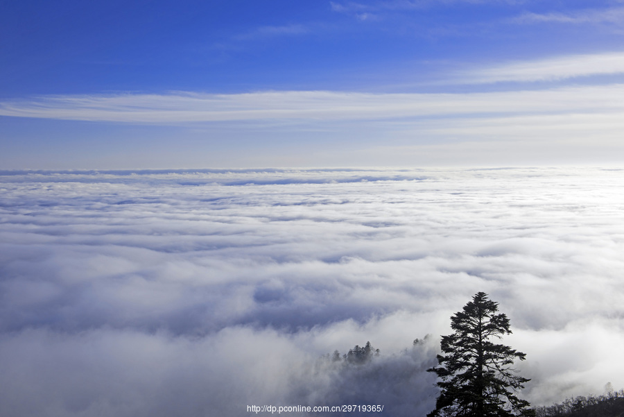 西岭雪山云海(4) 第4页