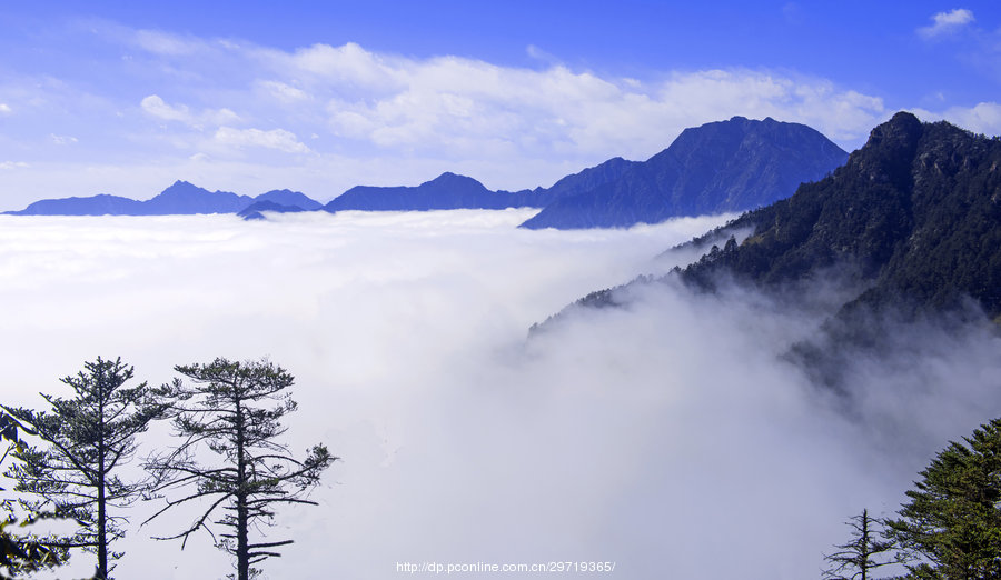 西岭雪山云海(6) 第6页