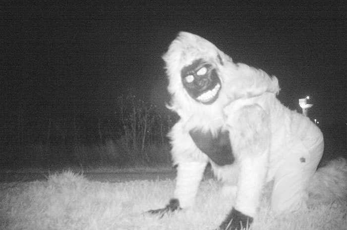 警察为找山狮放置野外几台相机，拍到的照片可谓是深夜恐怖故事 第1页