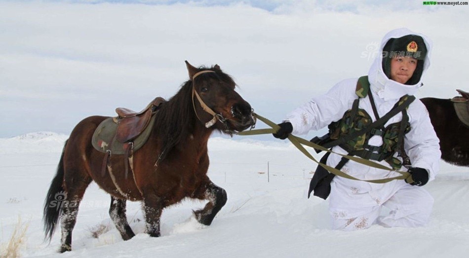 俄军用驯鹿和二哈拉雪橇！解放军骑马还骑骆驼(12) 第12页