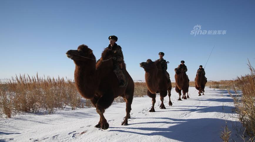 俄军用驯鹿和二哈拉雪橇！解放军骑马还骑骆驼(16) 第16页