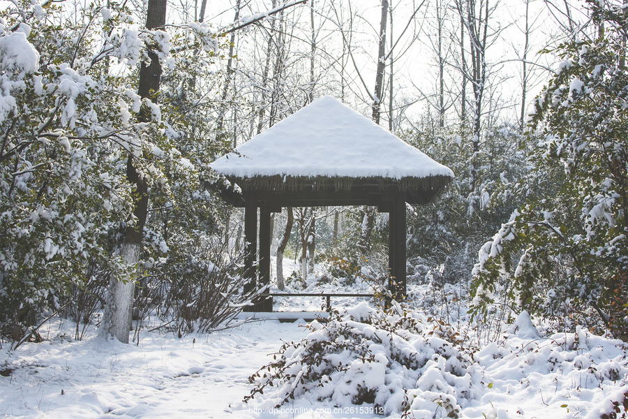 小年初雪(2) 第2页