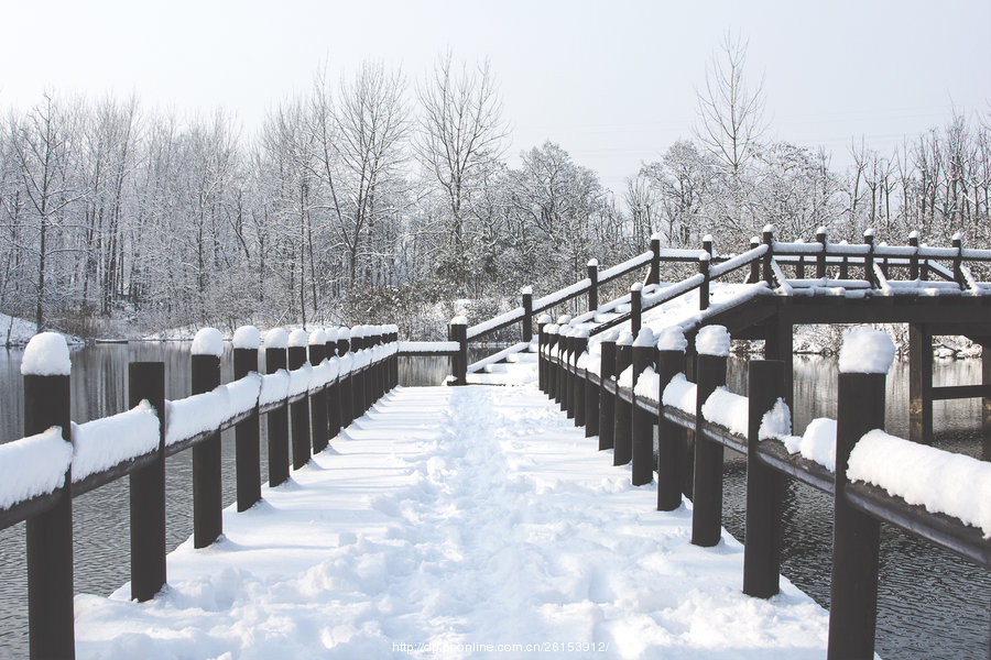 小年初雪(3) 第3页