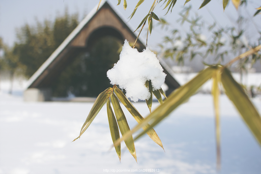 小年初雪(6) 第6页