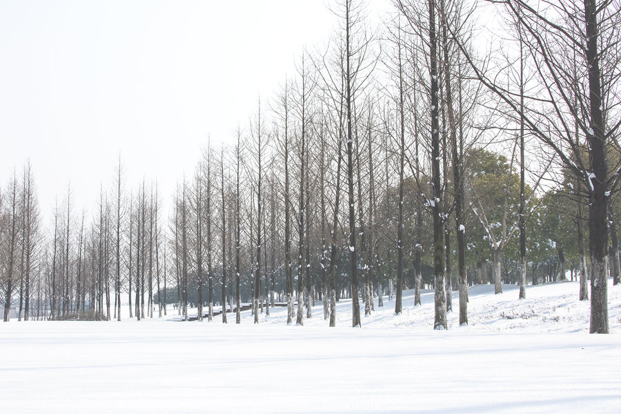 小年初雪(7) 第7页