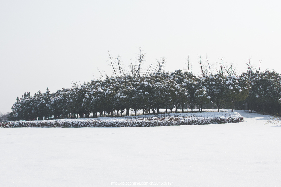 小年初雪(9) 第9页