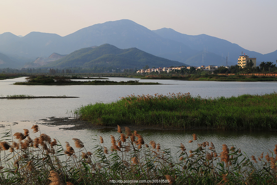 银湖湾湿地(5) 第5页