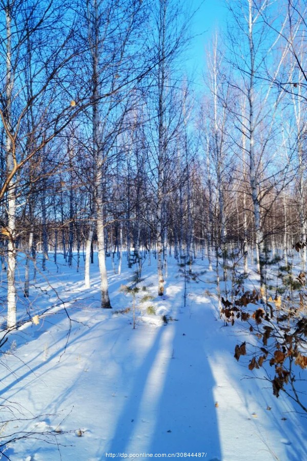 大年初六·拍雪(4) 第4页