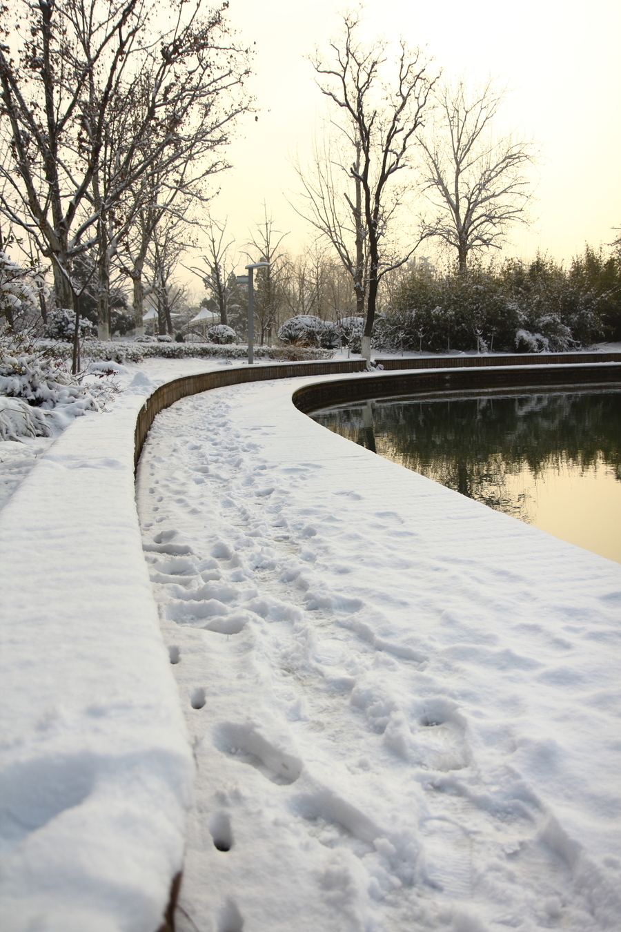 2017春雪(10) 第10页