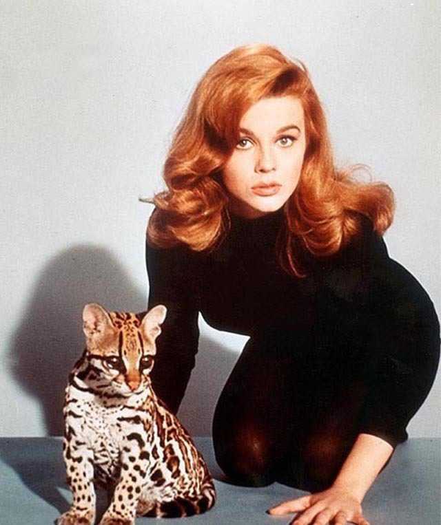 被称为女版猫王的安·玛格丽特，60年代复古美人老照片(3) 第3页