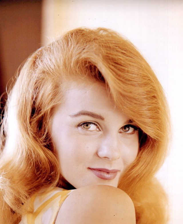 被称为女版猫王的安·玛格丽特，60年代复古美人老照片(6) 第6页
