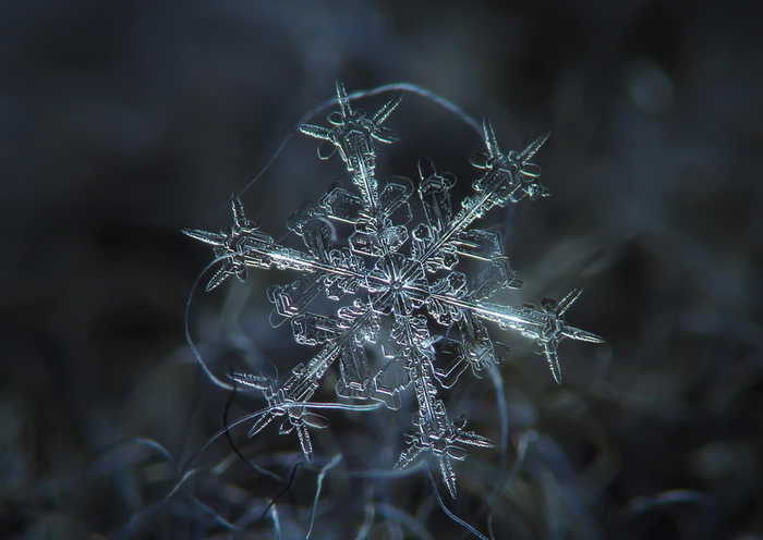 你见过放大10000倍的雪花吗?美得让人窒息!