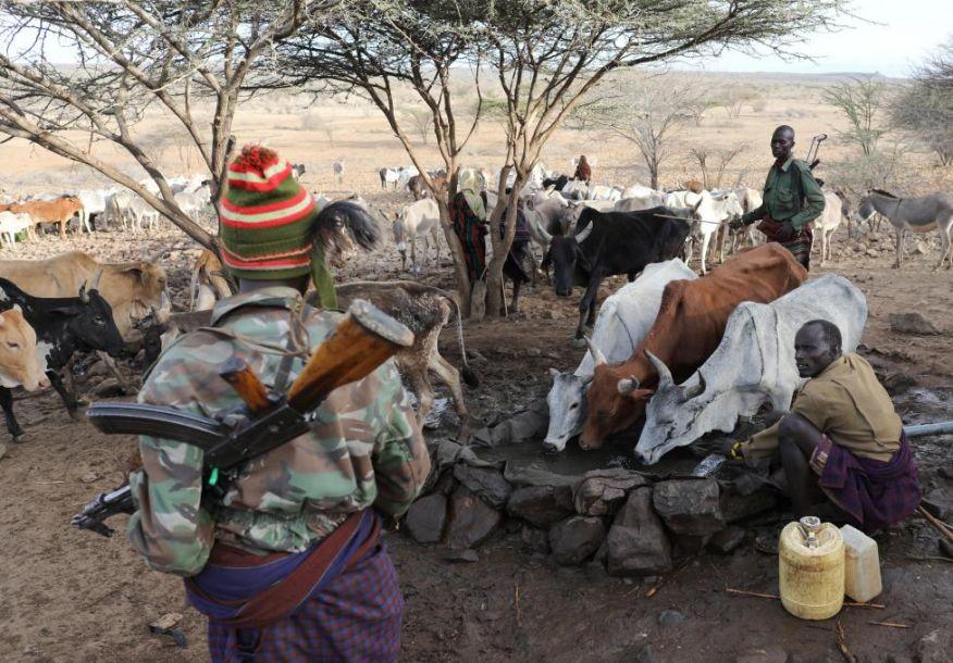 残忍杀大象 肯尼亚牧民与动物争夺水源(2) 第2页