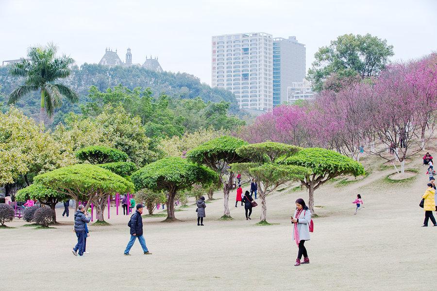 游拍南宁石门公园(7) 第7页