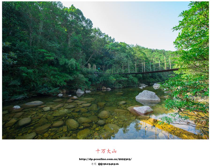 十万大山(11) 第11页