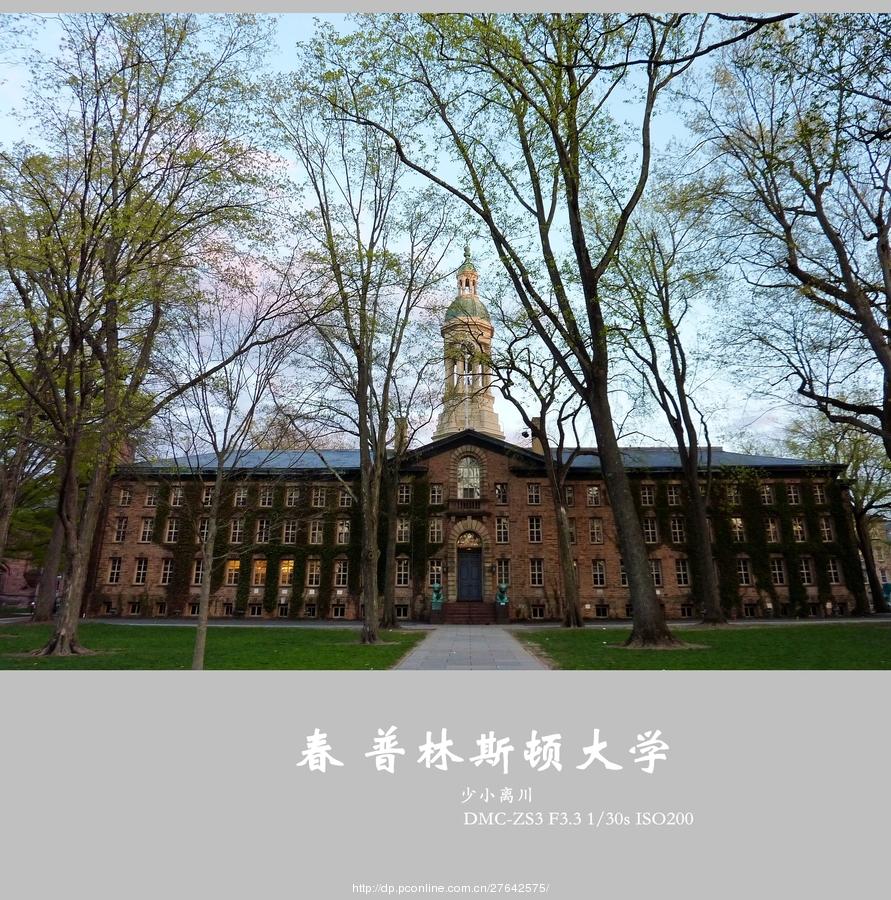 春 普林斯顿大学(11) 第11页