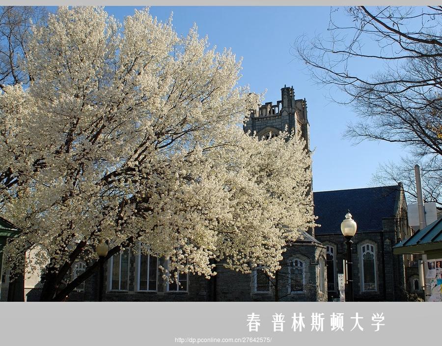 春 普林斯顿大学(2) 第2页