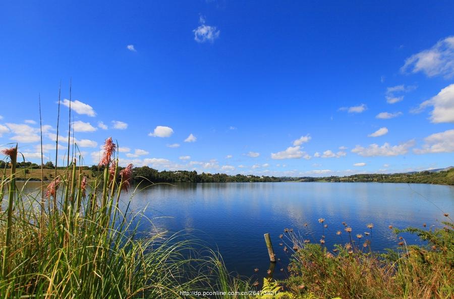 Cambridge’s  Lake karapiro(12) 第12页