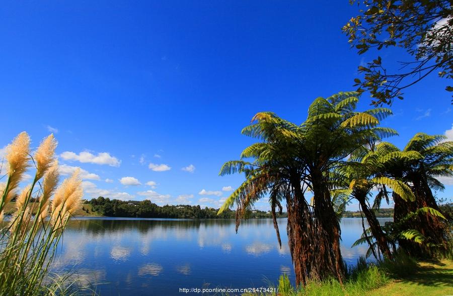 Cambridge’s  Lake karapiro(8) 第8页