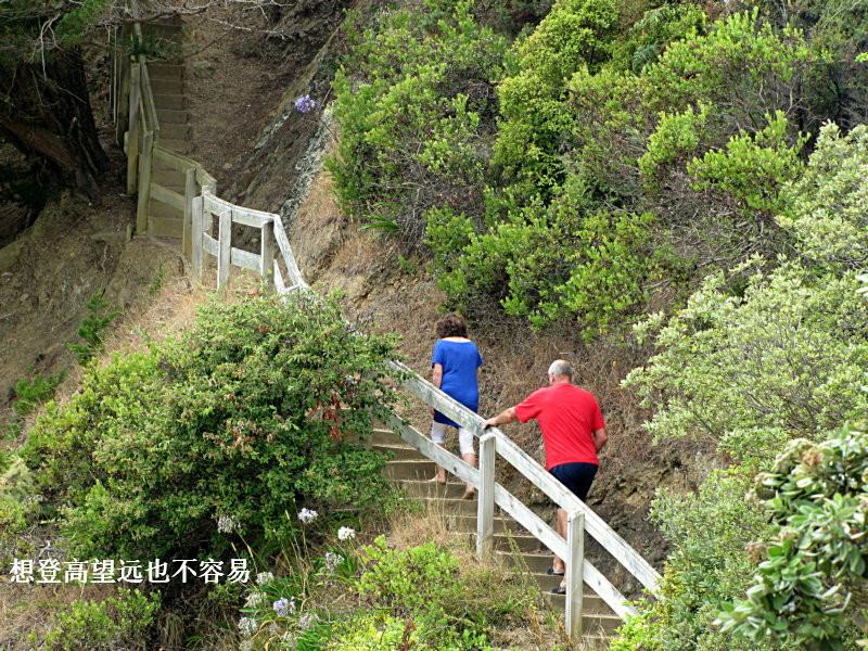 大美新西兰 5 激流岛一日游(20) 第20页