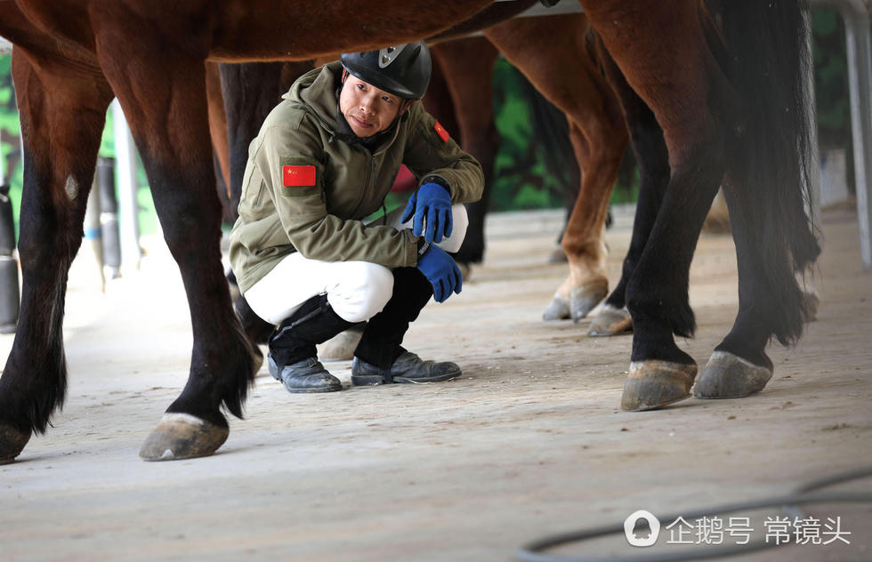 高清：90后男孩当马术教练年挣10万 没空恋爱(3) 第3页