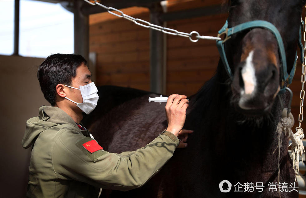 高清：90后男孩当马术教练年挣10万 没空恋爱(7) 第7页